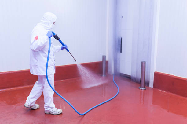 Best Sidewalk and Walkway Cleaning  in Navarre Beach, FL