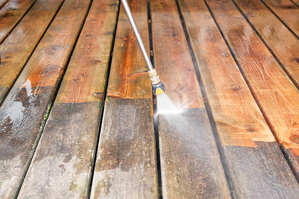 Best Animal Enclosure Cleaning  in Navarre Beach, FL